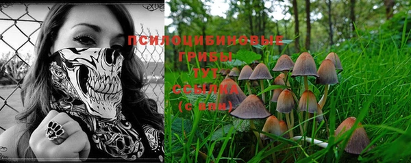прущая мука Алзамай