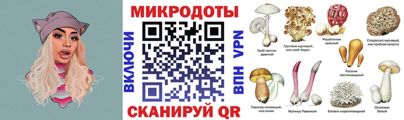 darknet официальный сайт  цена   Курлово  Псилоцибиновые грибы ЛСД 